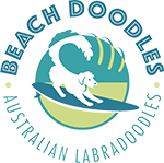 Beach Doodles Logo